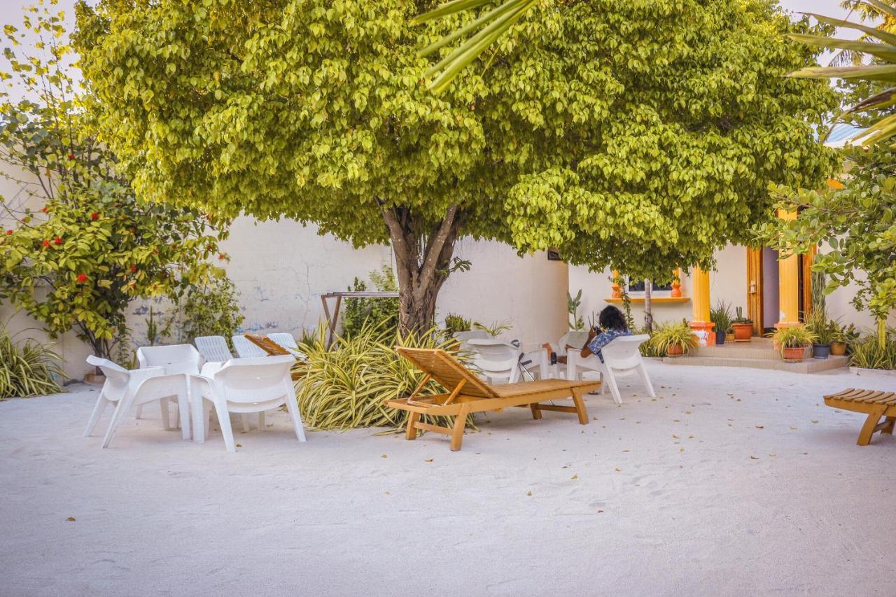 Summer Vibes Beach Front Rasdhoo Eksteriør bilde